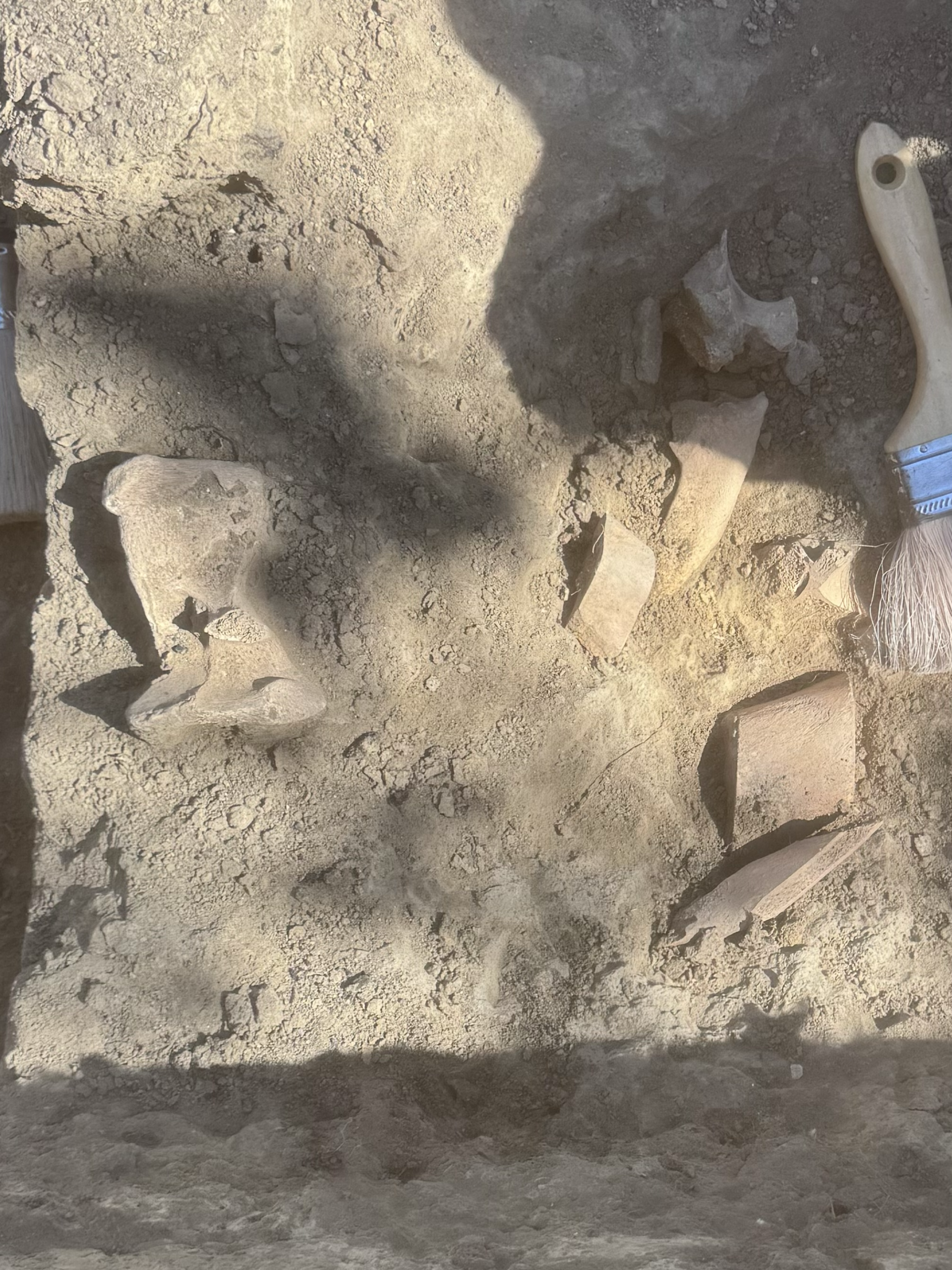 2026 Rock Springs Chinatown Excavation: Week 2